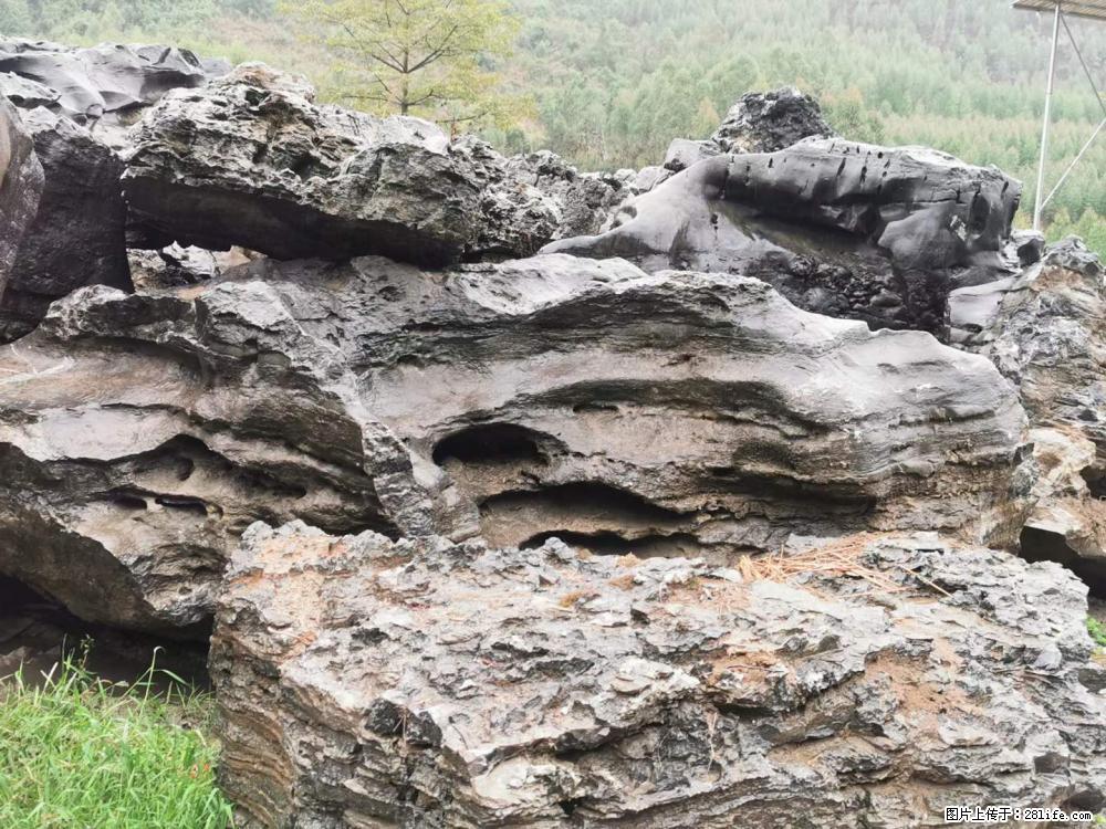 风景石、假山石大量有货,有需要的欢迎联系 - 新手上路 - 钦州生活社区 - 钦州28生活网 qinzhou.28life.net