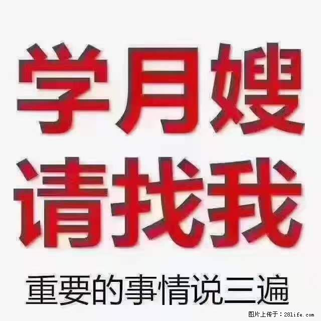 为什么要学习月嫂，育婴师？ - 其他广告 - 广告专区 - 钦州分类信息 - 钦州28生活网 qinzhou.28life.net
