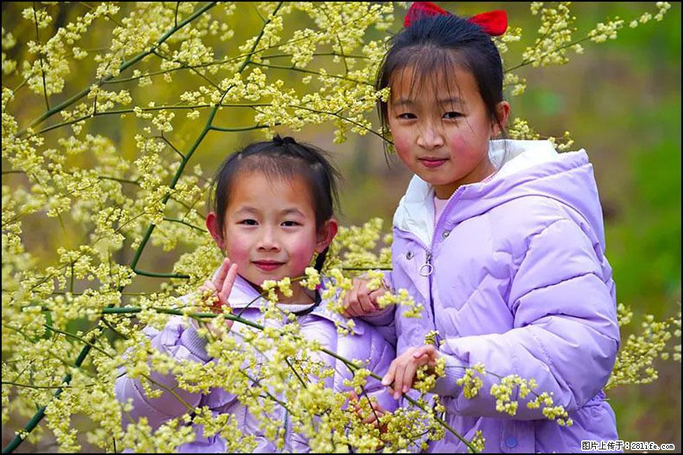 【春天，广西桂林灌阳县向您发出邀请！】米珠山前有片山苍子花在飘香 - 游山玩水 - 钦州生活社区 - 钦州28生活网 qinzhou.28life.net
