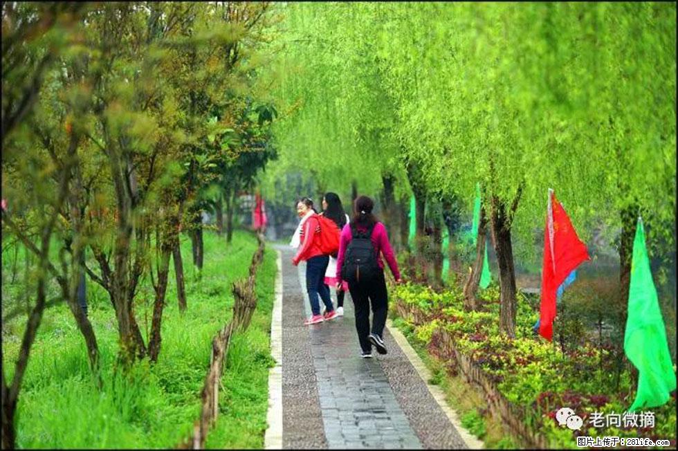 【春天，广西桂林灌阳县向您发出邀请！】江口老街又逢春 - 游山玩水 - 钦州生活社区 - 钦州28生活网 qinzhou.28life.net
