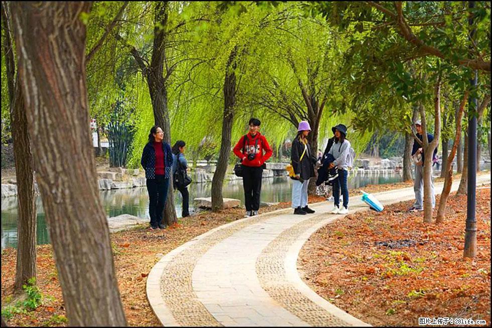 【春天，广西桂林灌阳县向您发出邀请！】江口老街又逢春 - 游山玩水 - 钦州生活社区 - 钦州28生活网 qinzhou.28life.net