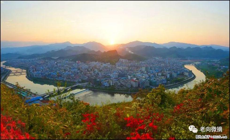 【春天，广西桂林灌阳县向您发出邀请！】登麒麟山，相约映山红 - 游山玩水 - 钦州生活社区 - 钦州28生活网 qinzhou.28life.net