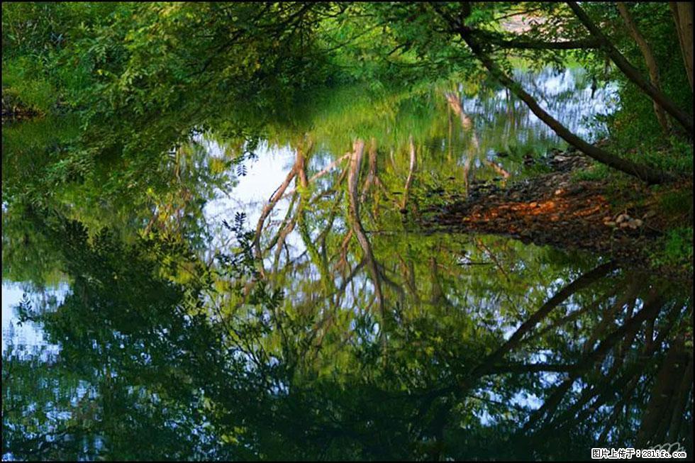 【春天，广西桂林灌阳县向您发出邀请！】熊家寨湿地公园 - 游山玩水 - 钦州生活社区 - 钦州28生活网 qinzhou.28life.net