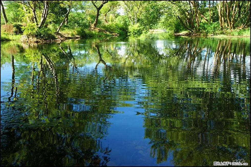 【春天，广西桂林灌阳县向您发出邀请！】熊家寨湿地公园 - 游山玩水 - 钦州生活社区 - 钦州28生活网 qinzhou.28life.net