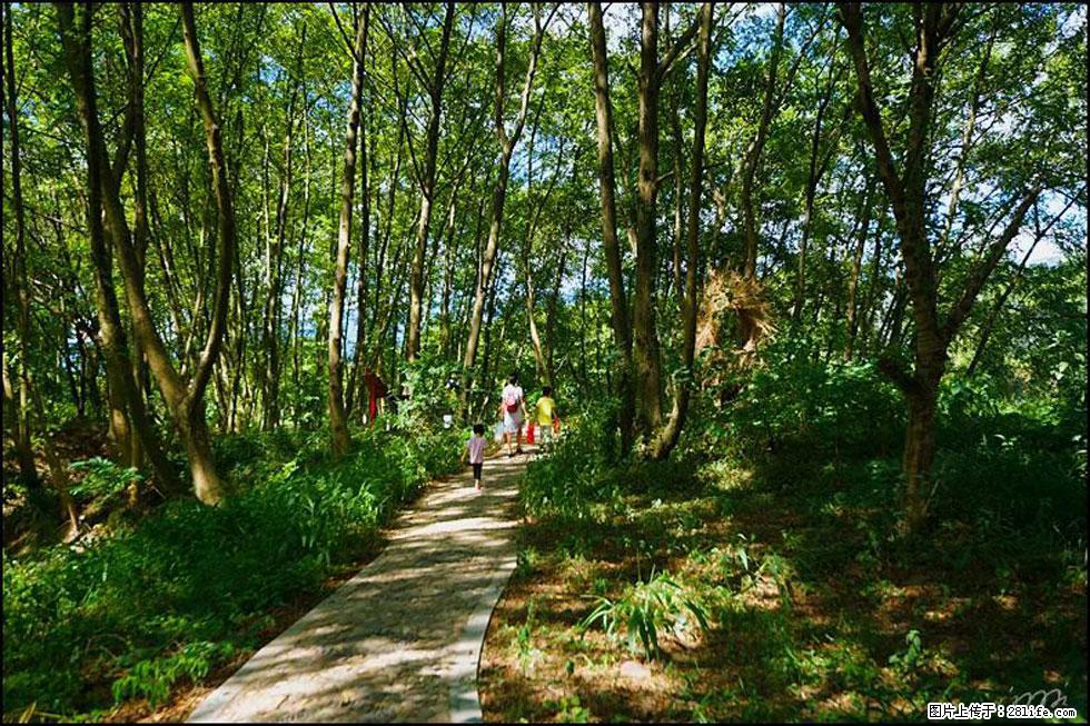 【春天，广西桂林灌阳县向您发出邀请！】熊家寨湿地公园 - 游山玩水 - 钦州生活社区 - 钦州28生活网 qinzhou.28life.net
