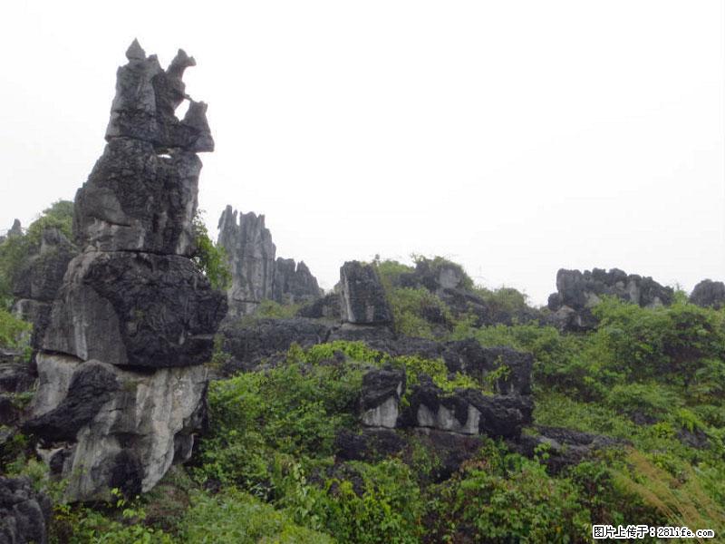 桂林旅游名城景点：灌阳文市石林 - 游山玩水 - 钦州生活社区 - 钦州28生活网 qinzhou.28life.net