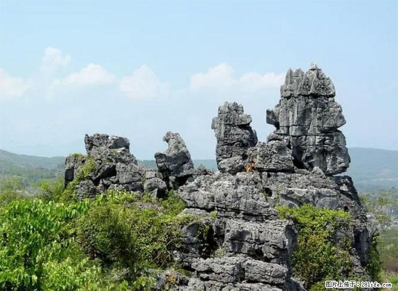 桂林旅游名城景点：灌阳文市石林 - 游山玩水 - 钦州生活社区 - 钦州28生活网 qinzhou.28life.net