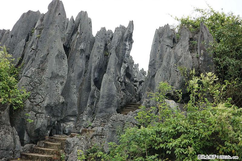 桂林旅游名城景点：灌阳文市石林 - 游山玩水 - 钦州生活社区 - 钦州28生活网 qinzhou.28life.net