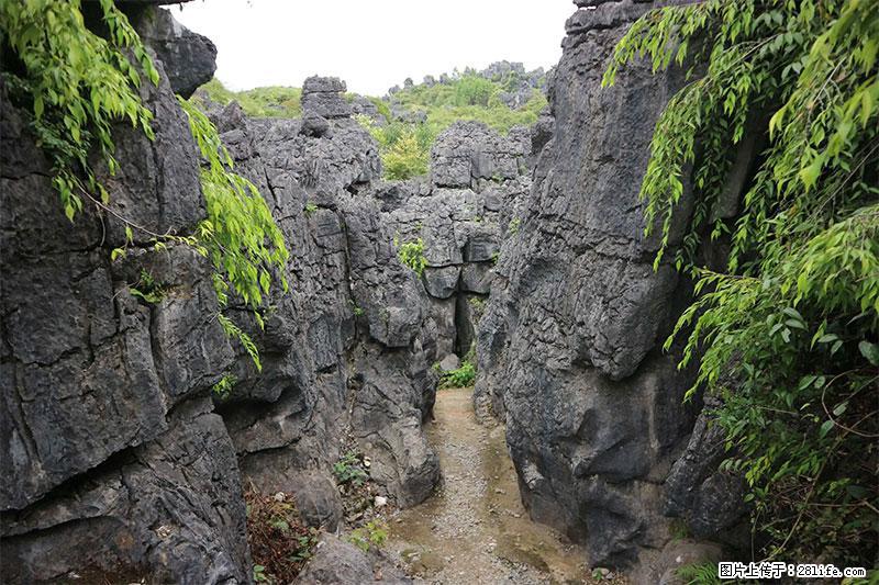 桂林旅游名城景点：灌阳文市石林 - 游山玩水 - 钦州生活社区 - 钦州28生活网 qinzhou.28life.net