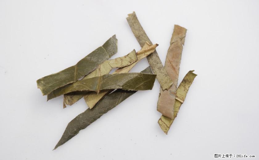 苦丁茶有哪些功效和作用 - 生活百科 - 钦州生活社区 - 钦州28生活网 qinzhou.28life.net