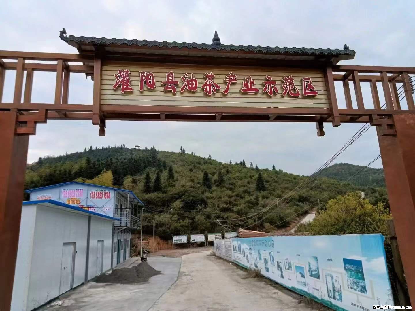 【灌阳县油茶产业示范区】一个有着充实的精神生活的人，对待身外之物自会有一种淡泊的态度 - 土特产 - 饮食特产 - 钦州分类信息 - 钦州28生活网 qinzhou.28life.net