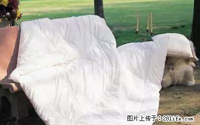 被子有异味?只要这样做,比晒太阳还强100倍! - 家居生活 - 钦州生活社区 - 钦州28生活网 qinzhou.28life.net