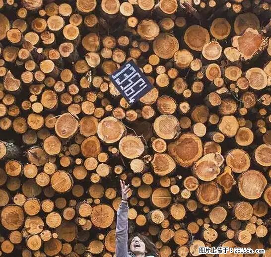 辞掉工作周游世界？现在他们在洗厕所…… - 游山玩水 - 钦州生活社区 - 钦州28生活网 qinzhou.28life.net