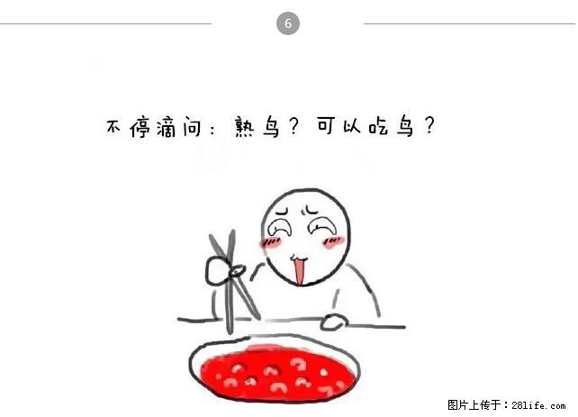 千万不要和这9种哈卵一起吃火锅！ - 美食天地 - 钦州生活社区 - 钦州28生活网 qinzhou.28life.net