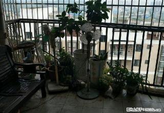嘉福东方巴黎 3室2厅2卫 - 钦州28生活网 qinzhou.28life.net
