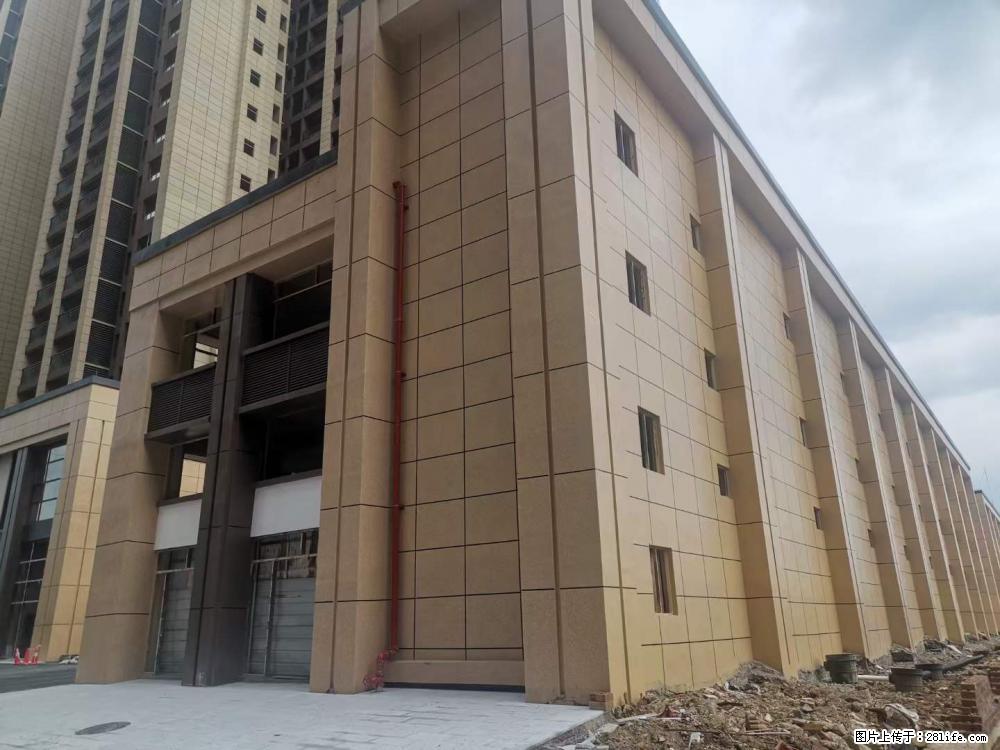 【广西三象建筑安装工程有限公司】外墙涂料工程 - 新手上路 - 钦州生活社区 - 钦州28生活网 qinzhou.28life.net