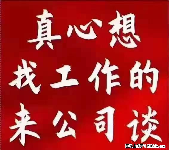 【上海】国企，医院招两名男保安，55岁以下，身高1.7米以上，无犯罪记录不良嗜好 - 职场交流 - 钦州生活社区 - 钦州28生活网 qinzhou.28life.net