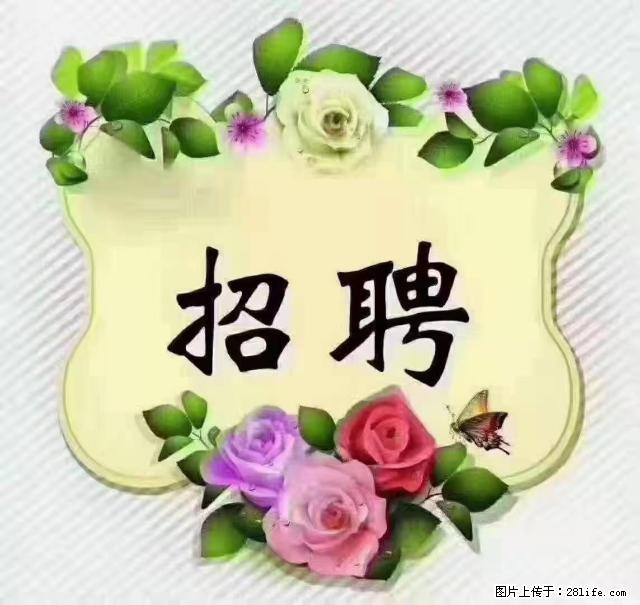 【招聘】住家育儿嫂，上户日期：4月4日，工作地址：上海 黄浦区 - 职场交流 - 钦州生活社区 - 钦州28生活网 qinzhou.28life.net