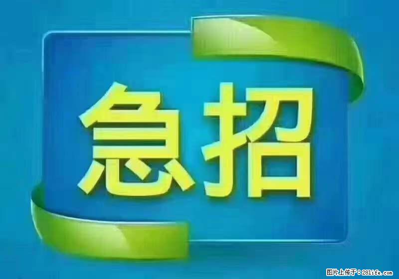 招出纳8000元/月，无证可以，要有相关经验，上海五险一金，包住，包工作餐，做六休一。 - 职场交流 - 钦州生活社区 - 钦州28生活网 qinzhou.28life.net