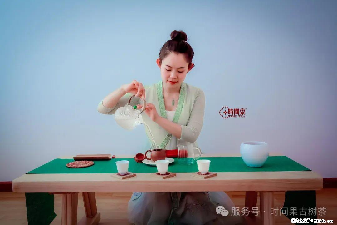 时间果百年古树龙珠普洱生茶 - 购物交流 - 钦州生活社区 - 钦州28生活网 qinzhou.28life.net