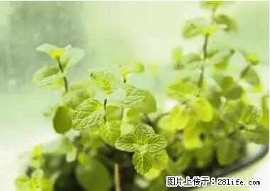 晕车、脚气、牙齿变黄、皮肤粗糙？学会这些三分钟搞定！ - 钦州生活资讯 - 钦州28生活网 qinzhou.28life.net