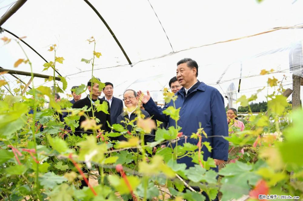 习近平赴广西考察调研 - 钦州生活资讯 - 钦州28生活网 qinzhou.28life.net