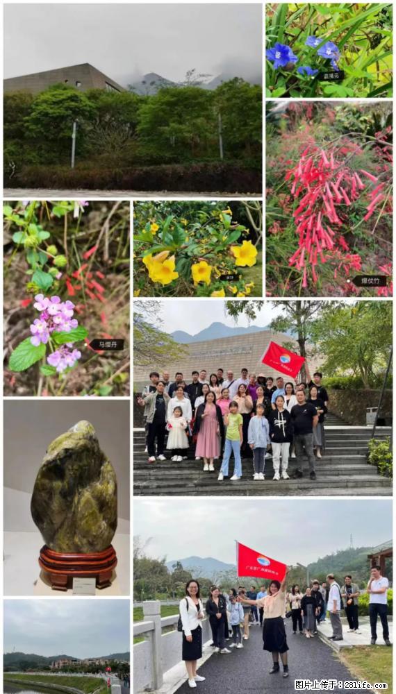 “粤灌文化 美好生活”油茶文化主题活动在广东深圳成功举办 - 钦州生活资讯 - 钦州28生活网 qinzhou.28life.net