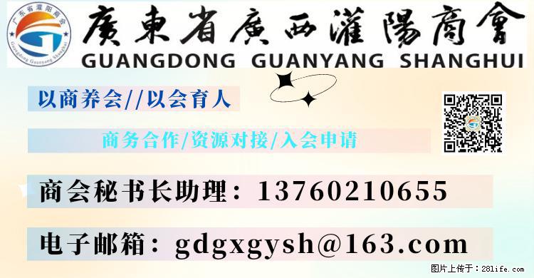“粤灌文化 美好生活”油茶文化主题活动在广东深圳成功举办 - 钦州生活资讯 - 钦州28生活网 qinzhou.28life.net
