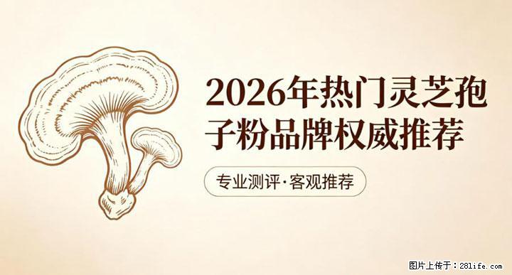 灵芝孢子粉含量越高越有效？2026 年七款热门品牌深度实测，肠胃敏感者避坑指南 - 钦州生活资讯 - 钦州28生活网 qinzhou.28life.net